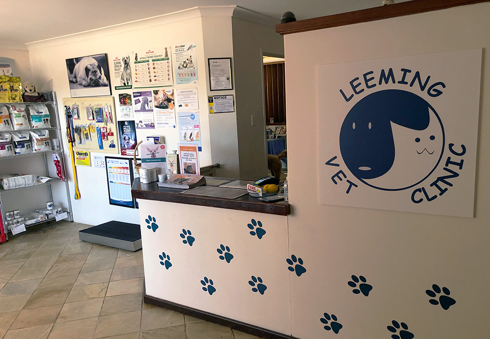 Leeming Vet Clinic