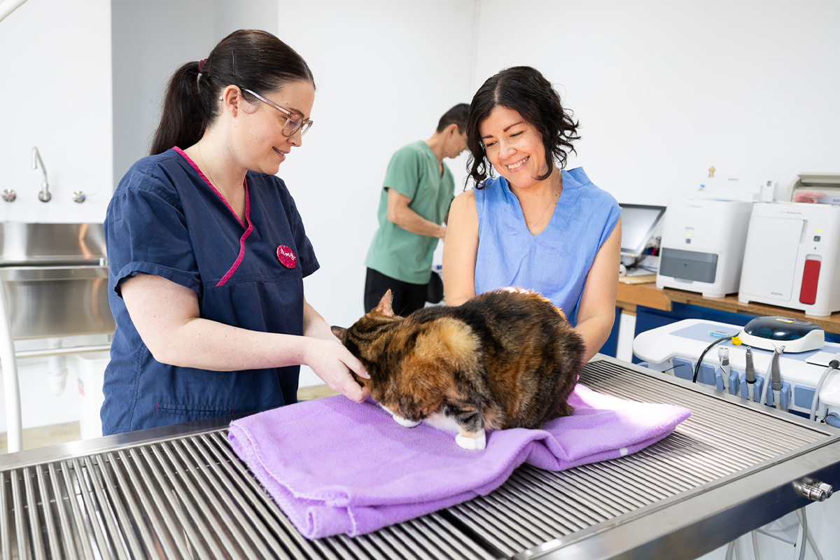 Leeming Vet - Vet Services Perth