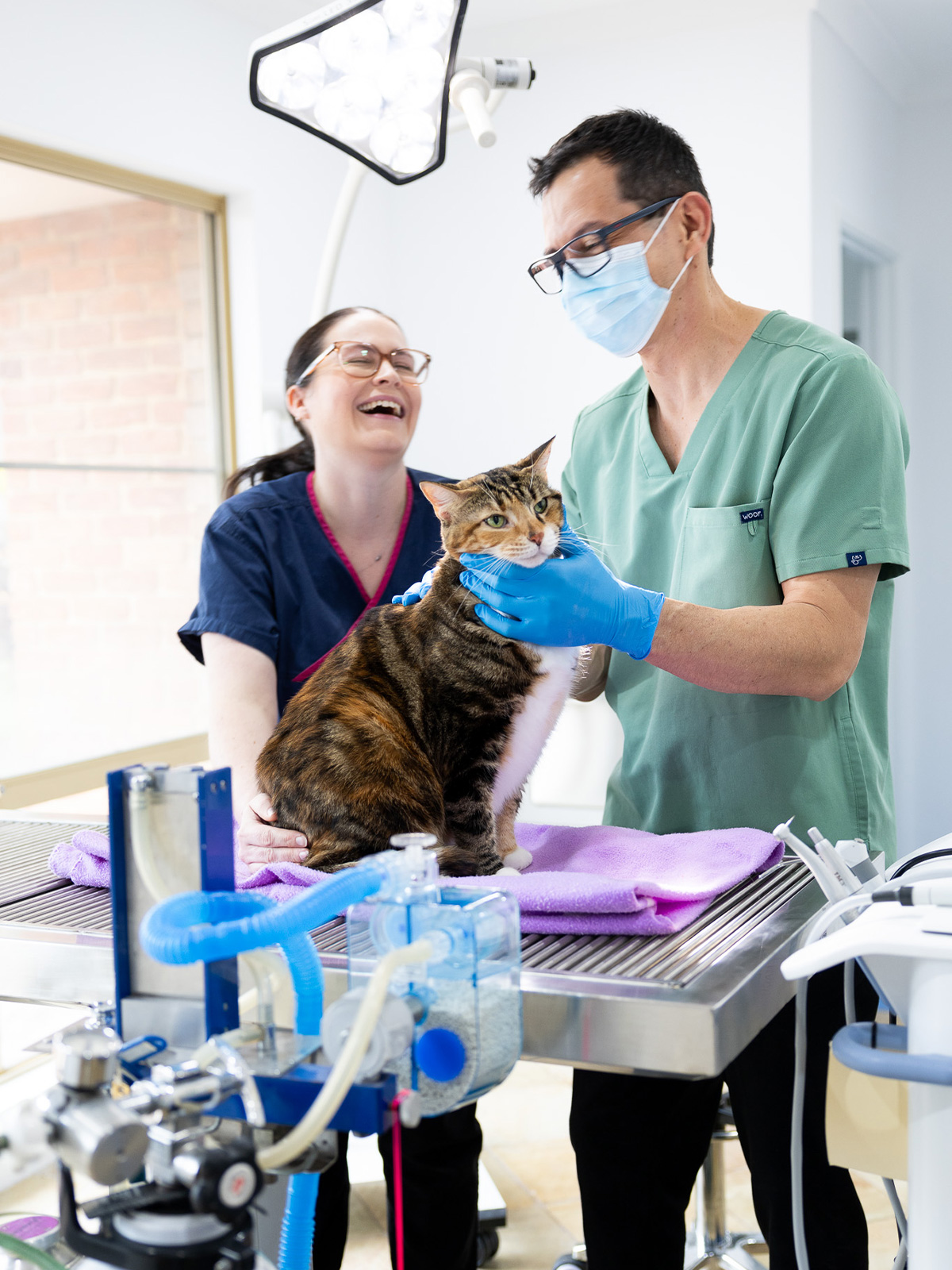About Us at Leeming Vet