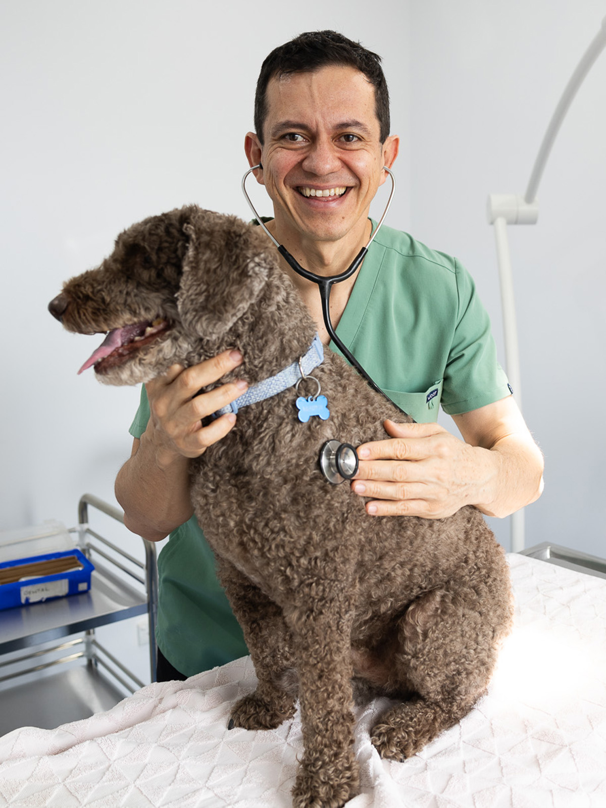 Leeming Vet - Vet Services Perth