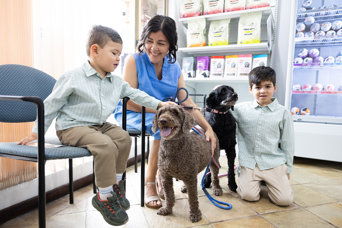 Leeming Vet - Veterinary Consultations