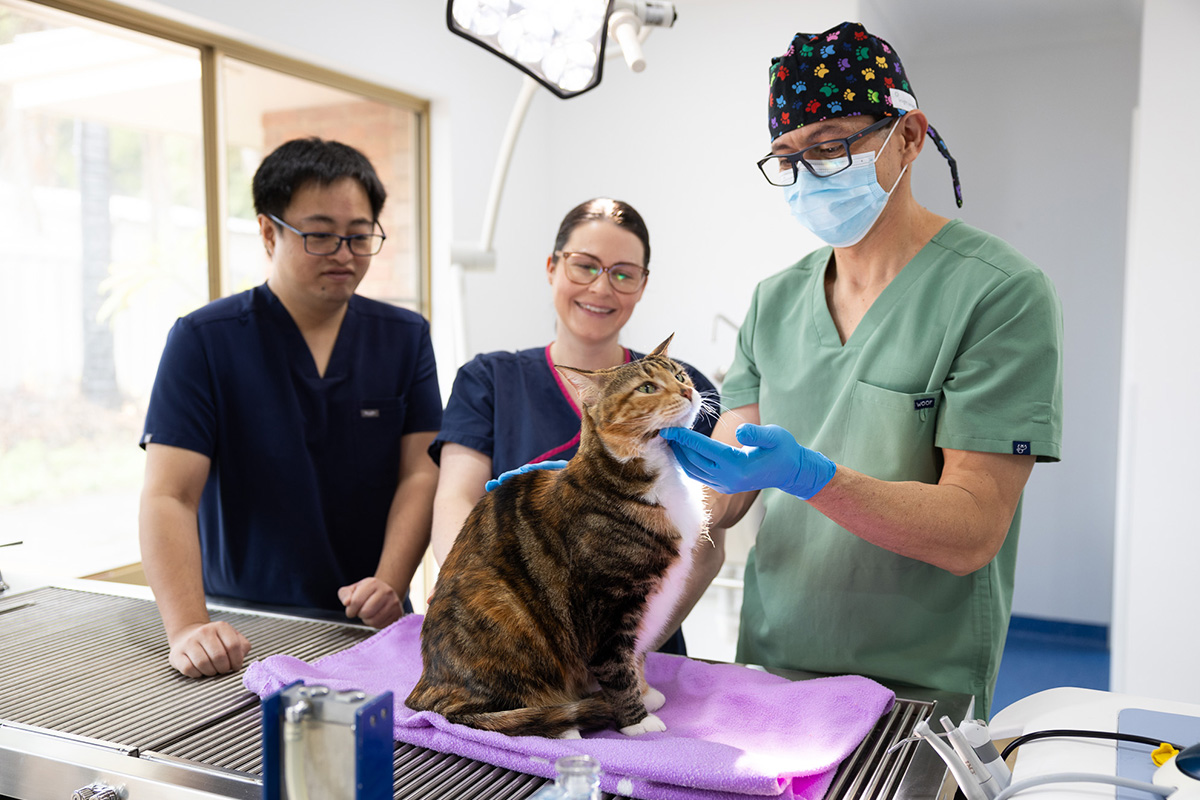 Leeming Vet - Meet Our Team